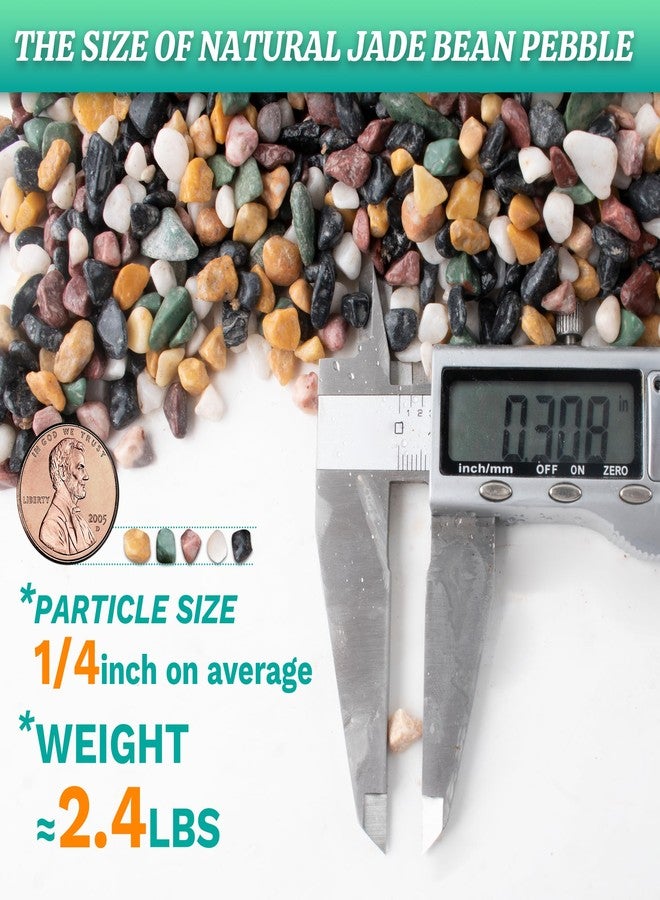 AVALUTION Aquarium Gravel for Plants -2.4lb Fish Tank Gravel for Succulent Cactus & Bonsai, 1/4Inch Decorative River Rocks Pebbles for Gardening, Flower Pots, Landscaping, Terrarium - Image 5